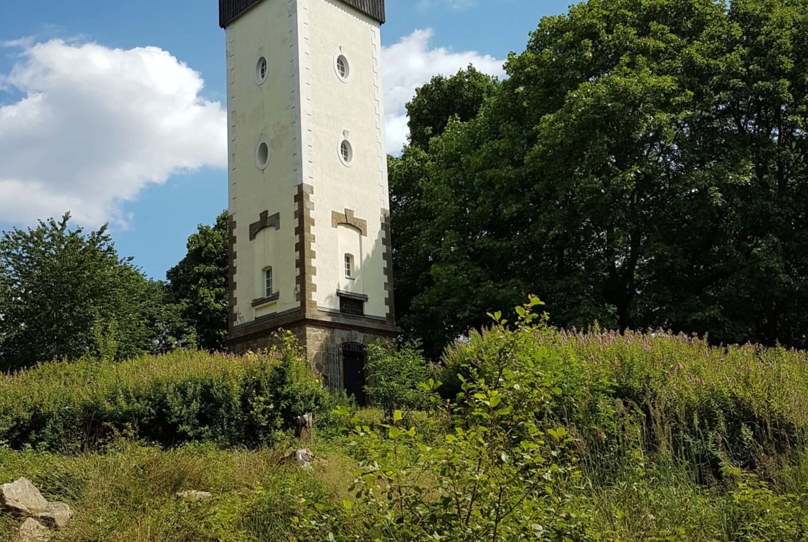 Hochzeit im Grünem