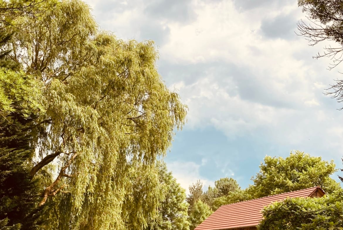 Heiraten im Grünen – Hochzeitsscheune Villa Boskow