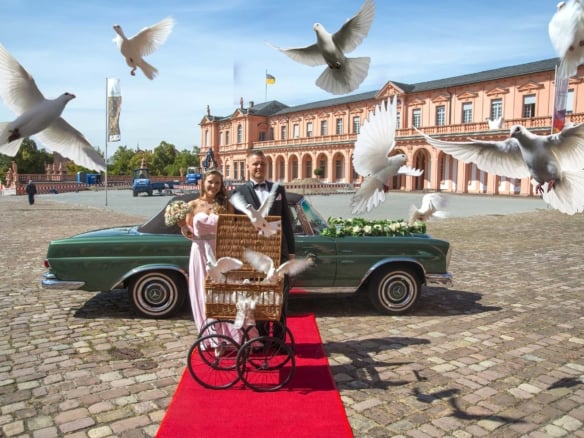 Hochzeitsfotos, ganztägige Reportage, Hochzeitsportraits