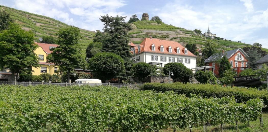 Heiraten im ältesten Weingut Sachsens!