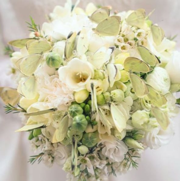 Schmetterlinge zur Hochzeit fliegen lassen
