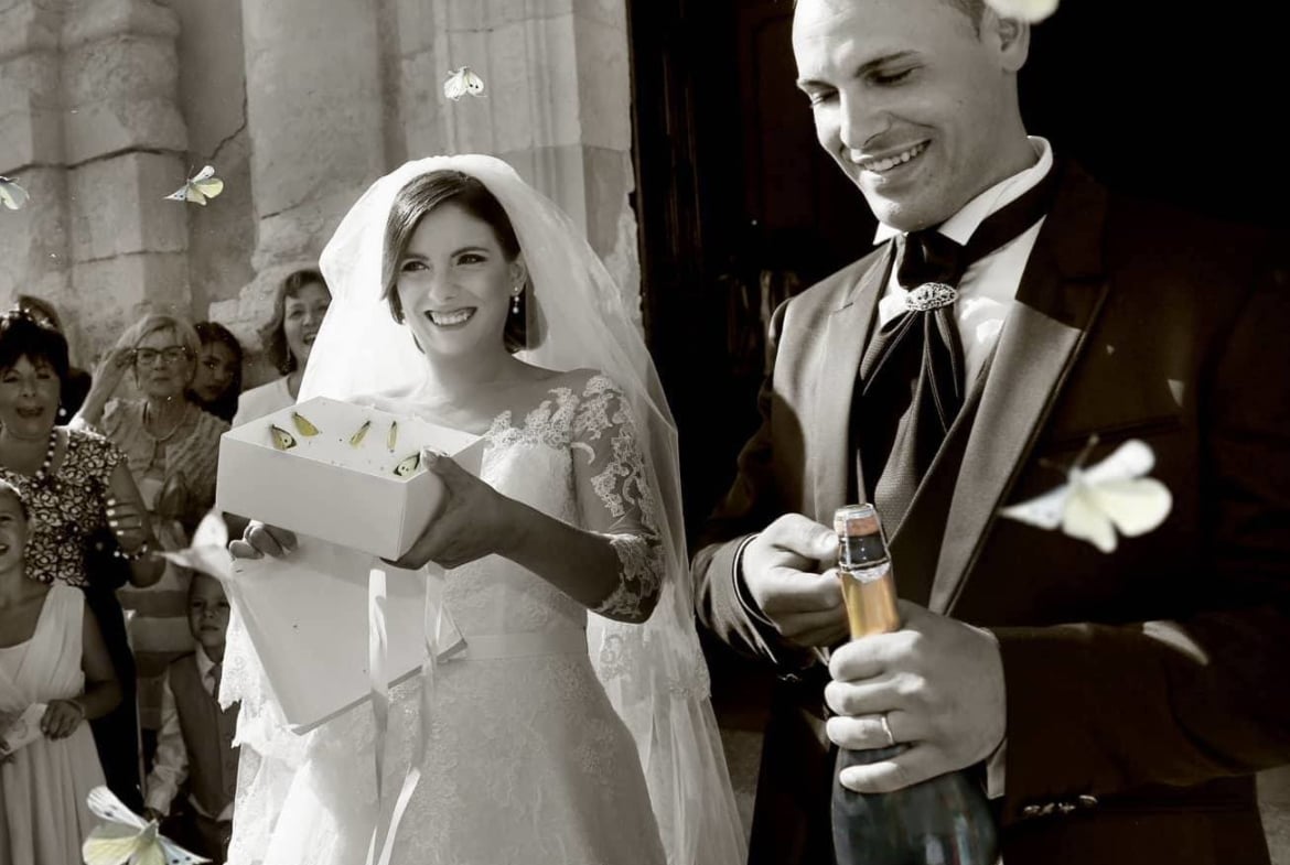 Schmetterlinge zur Hochzeit fliegen lassen