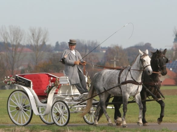 Hochzeitskutsche, Pferdekutsche München, Kutschenfahrten