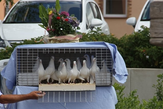 Heiraten im Haus Wildrose