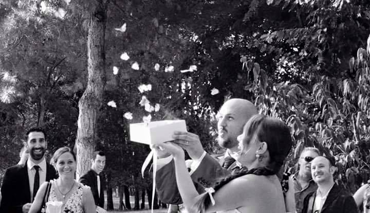 Schmetterlinge zur Hochzeit fliegen lassen