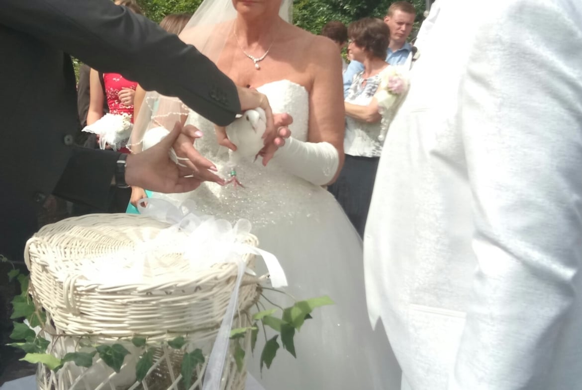 Hochzeitstauben by Patrick Anderer | Weiße Tauben als Geschenk |